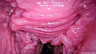 Camera in Vagina, Cervix POV, Tiny Cucked by Giant